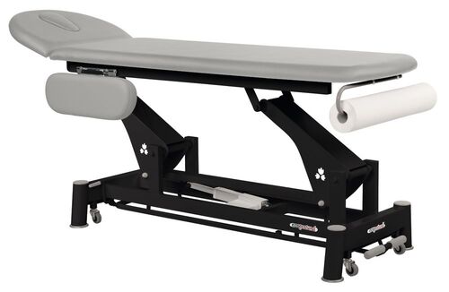 Elektrische Therapieliege mit schwarzem Metall Rahmengestell 62 x 207 cm 