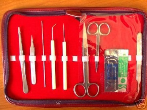 Pr�parierset, Sezier Besteck, Instrumente im Etui