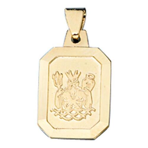 Anh�nger Sternzeichen Wassermann 333 Gelbgold matt