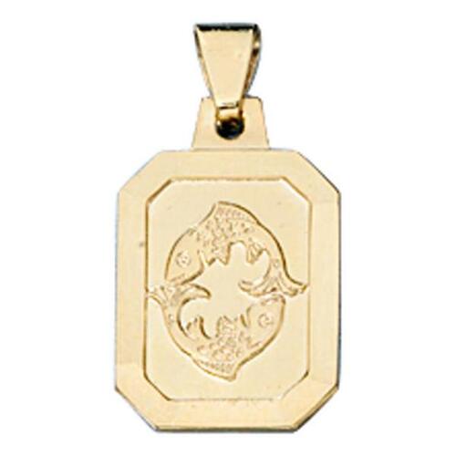 Anh�nger Sternzeichen Fische 333 Gelbgold matt Sternzeichenanh�nger