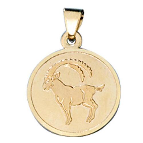 Anh�nger Sternzeichen Steinbock 333 Gold Gelbgold matt 12,3 mm