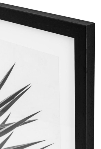 Casa Padrino Luxus Druck Set Palmenbl�tter 74,5 x H. 104,5 cm - Luxus Bilder & Accessoires