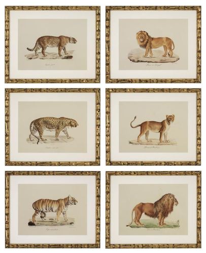 Casa Padrino Deko Bilder Set L�wen Tiger Jaguare Antik Gold 54 x H. 44 cm - Luxus Wanddekoration