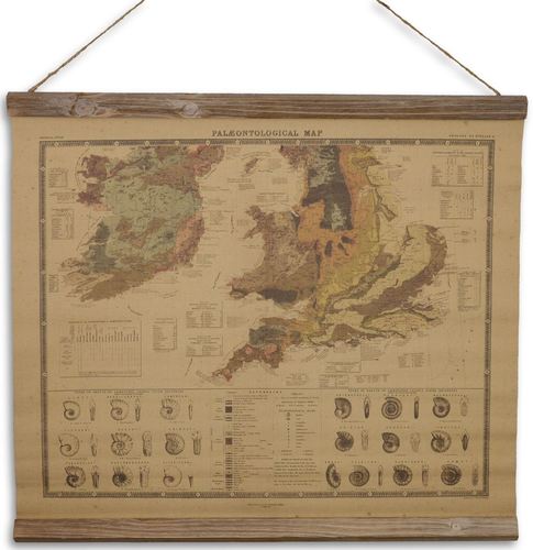 Casa Padrino Wandkarte Pal�ontologie Braun / Mehrfarbig 60 x H. 53 cm - Dekorative Schulkarte