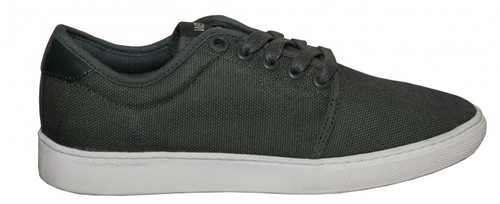 WeSC Skateboard Schuhe Edmond Green/White Canvas Shoes