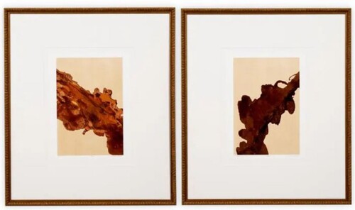 Casa Padrino Luxus Kunstdruck 2er Set Braun / Antik Gold 63 x H. 74 cm