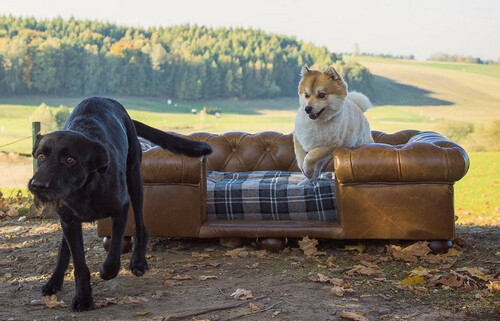 Casa Padrino Luxus Chesterfield Leder Hundebett Vintage Braun / Dunkelbraun / Mehrfarbig 134 x 104 x H. 37 cm - Rechteckiges Echtleder Hundebett - Luxus Chesterfield Leder Tierm�bel