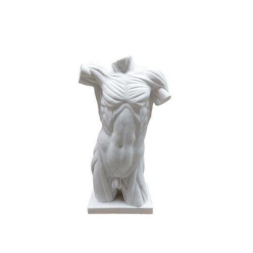 Casa Padrino Luxus Marmor Skulptur M�nnlicher Torso Wei� - Handgefertigte Marmorfigur - Deko Skulptur