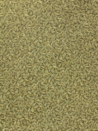 Harald Gl��ckler Designer Barock Vliestapete Bl�tter Gold Metallic / Schwarz - Prunkvolle Barockstil Tapete - Barock Tapeten - Harald Gl��ckler Tapeten