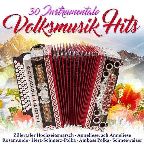 30 Instrumentale Volksmusik Hits [CD]