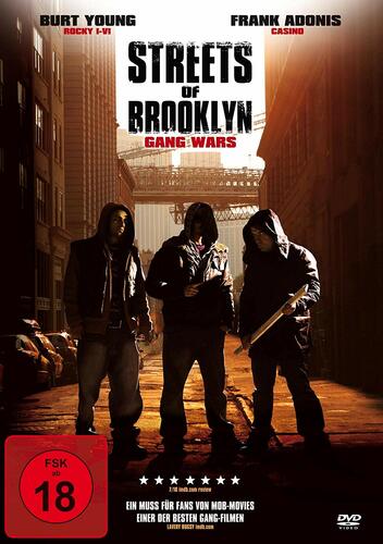 Streets of Brooklyn - Gang Wars [DVD] - gebraucht gut