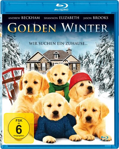 Golden Winter - Wir suchen ein Zuhause [BluRay] - gebraucht gut