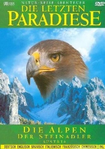 Die Alpen - Der Steinadler (PAL - Deutsch) [DVD]