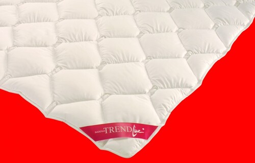 85.Badenia Microfaser Steppbett Mono 135x200 cm 100% Polyester