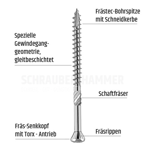 Eurotec 500 Hapatec Edelstahl Terrassenschrauben mit Bohrsenker und Edelstahlbit