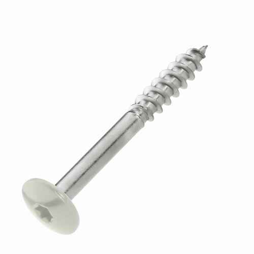 Fassadenschrauben Trespa Edelstahl A2 TX - Flachrundkopf - 100 St�ck