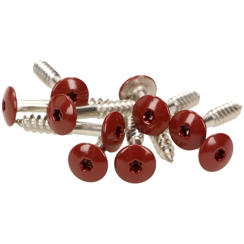 Meisterling Fassadenschrauben - V4A Edelstahl - farbig einbrennlackierter Flachkopf - TX-20 - geh�rtet - inkl. Bit - f�r Fassaden & Kompaktplatten 