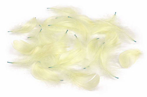 Echte Federn gef�rbt - ca. 270 St�ck - 5-10 cm - Naturfedern Basteln, Deko & Floristik 