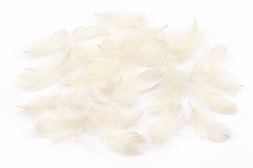 Echte Federn gef�rbt - ca. 270 St�ck - 5-10 cm - Naturfedern Basteln, Deko & Floristik 