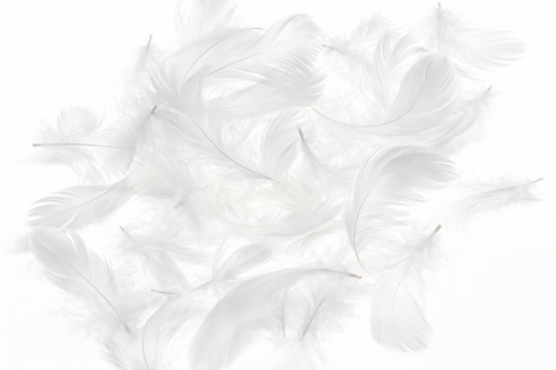 Echte Federn gef�rbt - ca. 270 St�ck - 5-10 cm - Naturfedern Basteln, Deko & Floristik 