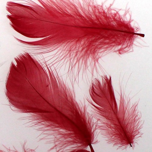 echte Federn gef�rbt ca. 20g Deko Gr��en gemischt ca. 2-12cm