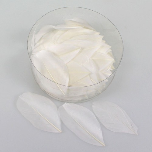 144 echte G�nsefedern ca. 5cm Federn Bastelfedern Schmuckfedern Streudeko 