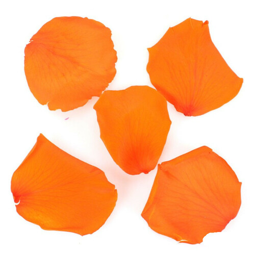 ca. 100g echte Rosenbl�tter stabilisiert (�hnlich gefriergetrocknet) 4-6cm 300-400St 