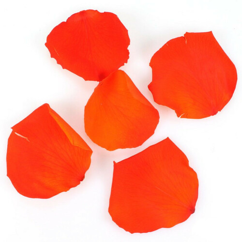 ca. 100g echte Rosenbl�tter stabilisiert (�hnlich gefriergetrocknet) 4-6cm 300-400St 