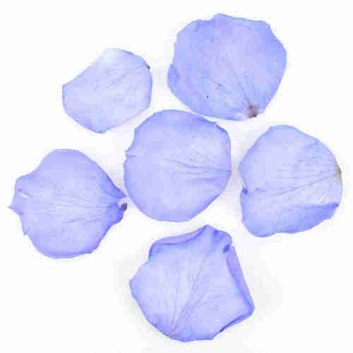 ca. 100g echte Rosenbl�tter stabilisiert (�hnlich gefriergetrocknet) 4-6cm 300-400St 