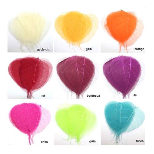 10 Skelettbl�tter Blatt Willow Schleier Schleierbl�tter Basteln Nailart