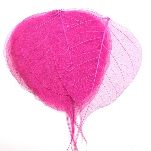 10 Skelettbl�tter Blatt Willow Schleier Schleierbl�tter Basteln Nailart 