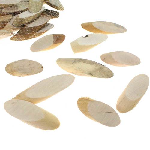 20 Astscheiben Holz Scheibe Ahorn ca. 5-18cm schr�g Baumscheibe Holzscheibe