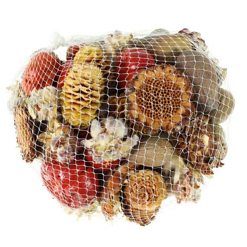 500g Exotikmix ca 80 Teile getrocknete Bl�ten Samen Fr�chte  Mischung bunter Mix Herbstdeko