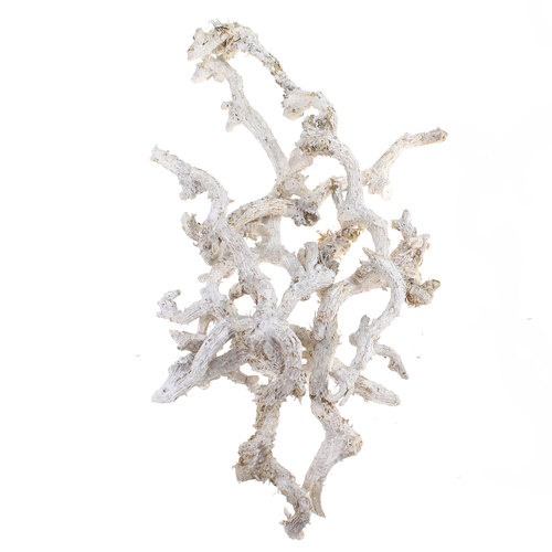 Bund Mohanwurzel ca.500g �ste wei� gebleicht Wurzel Dekowurzeln Deko Zweige 