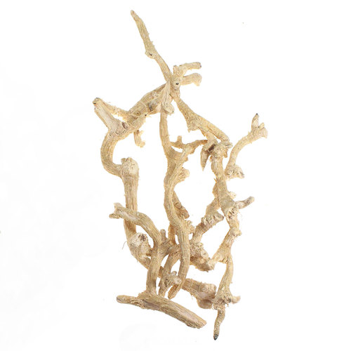 Bund Mohanwurzel ca.500g �ste wei� gebleicht Wurzel Dekowurzeln Deko Zweige 