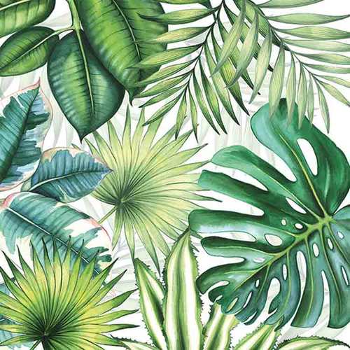 20 Servietten Bl�tter Tropen Tropical Leaves 3-lagig 33x33cm Tissue Amazonas Dschungel