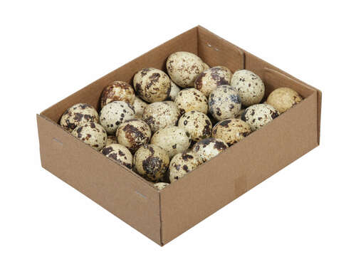 48 echte Wachteleier ausgeblasen 3cm Deko Bastel Eier Ostern Ostereier Vogeleier