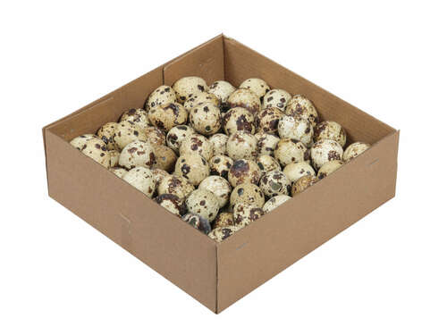 100 echte Wachteleier ausgeblasen 3cm Deko Bastel Eier Ostern Ostereier leer