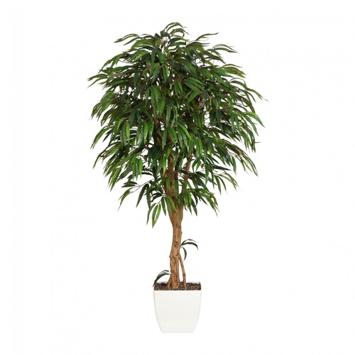 Weeping-Ficus Kunstpflanze 180 cm mit Naturstamm