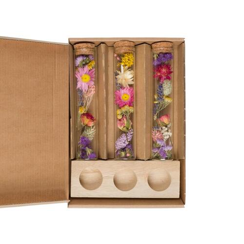 Getrocknete Blumen - Message in a Box Large - 8 Stck - Ideal fr Innenrume - ?15c