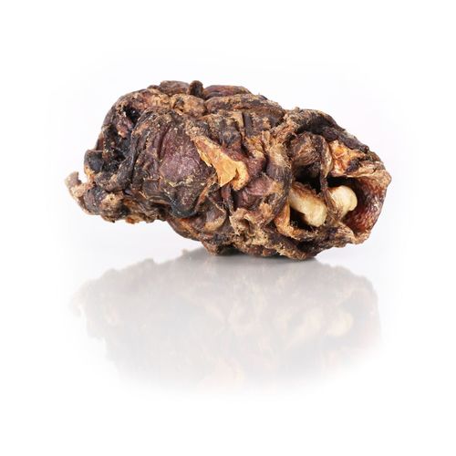 Rinderkehlkopf getrocknet