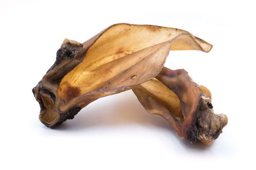 Rinderohren XL mit Muschel