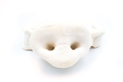 Schweinenasen Maxi gepufft