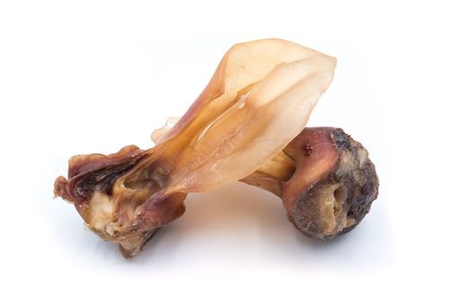 Rinderohren mit Muschel aus Deutschland