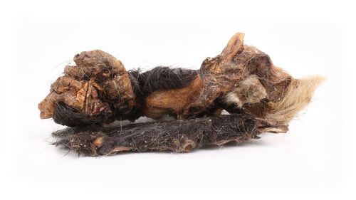 Pferdekopfhaut und Pferdehaut mit Fell