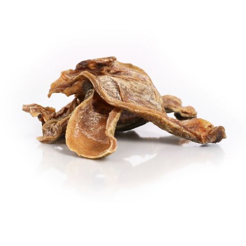 Kamel Haut ca. 15 cm getrocknet