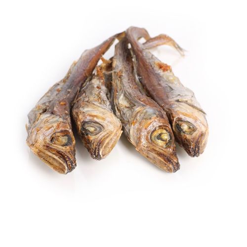 Fisch f�r Hunde Hering