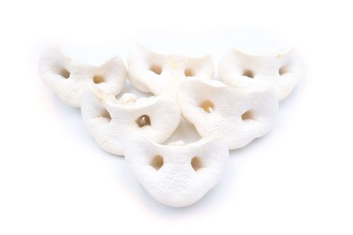 Schweinenasen gepufft