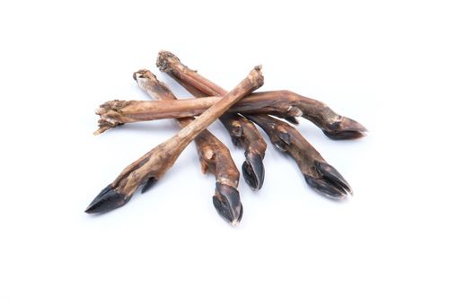 Rehunterbeine ein nat�rlicher Kauknochen