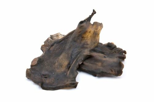 Pferdekopfhaut Kauplatten aus Pferdehaut